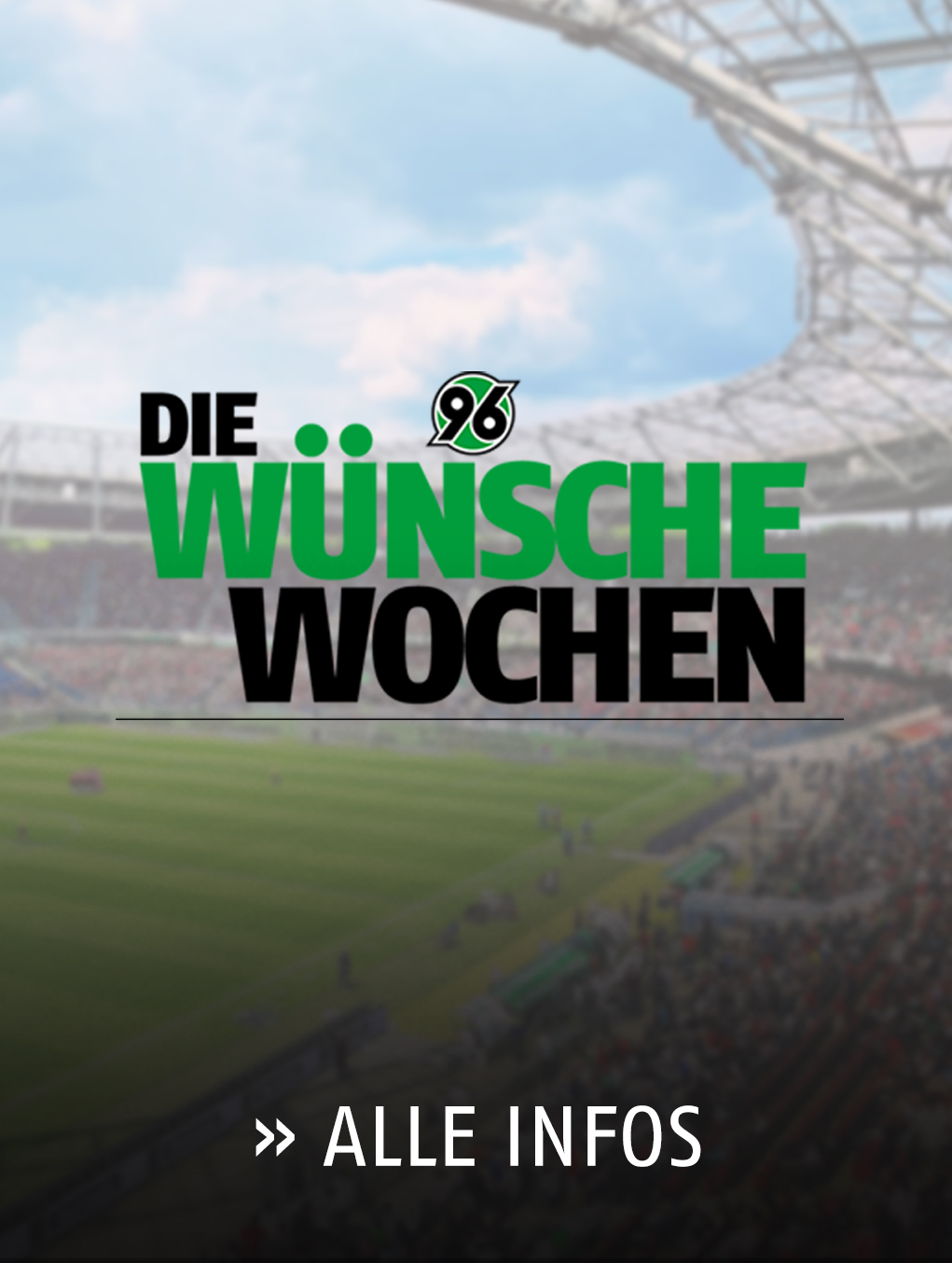 Hannover 96: Hannover 96